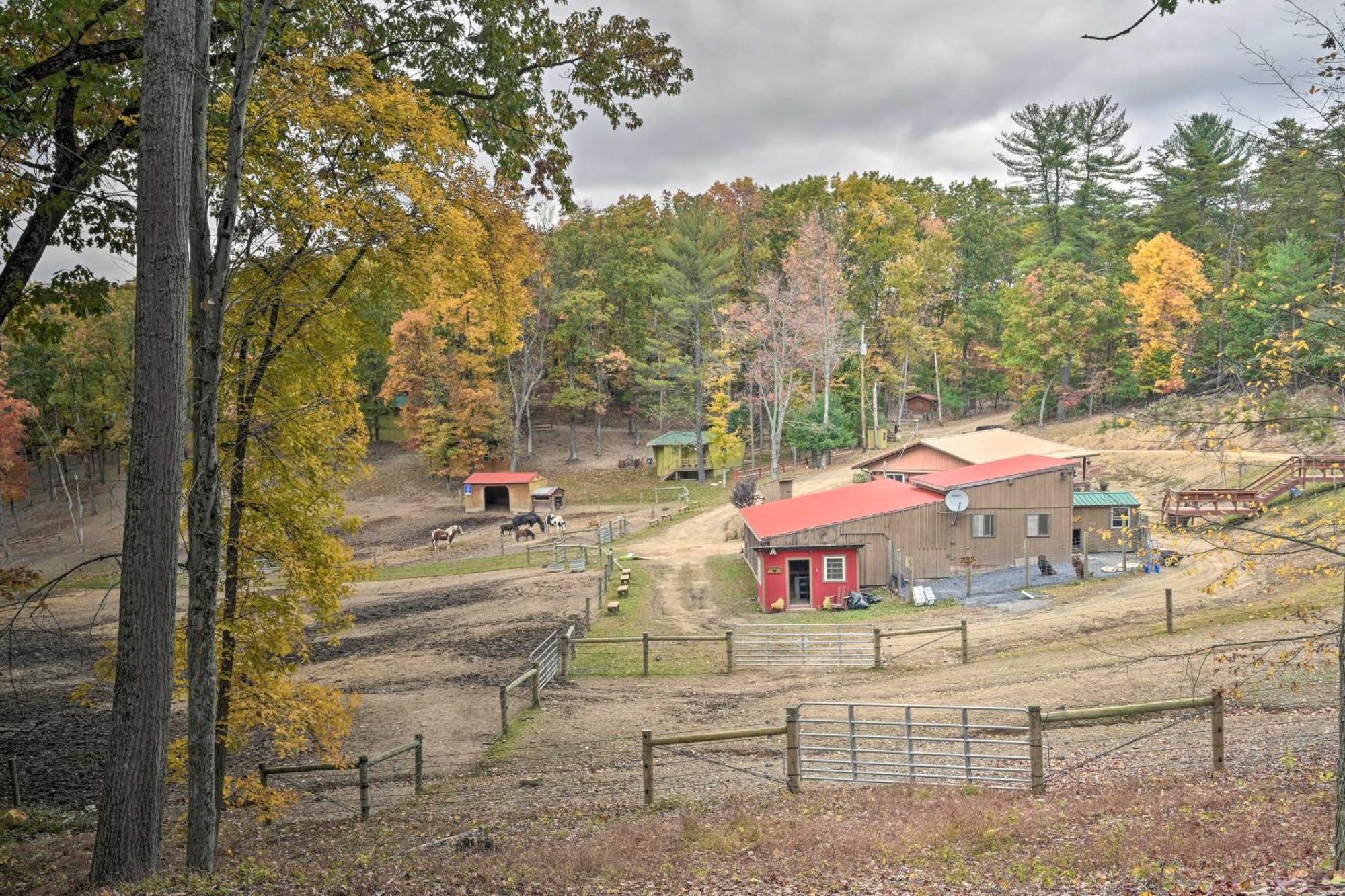 Lone Ranger Cabin With 50 Acres By Raystown Lake Хънтингдън Екстериор снимка