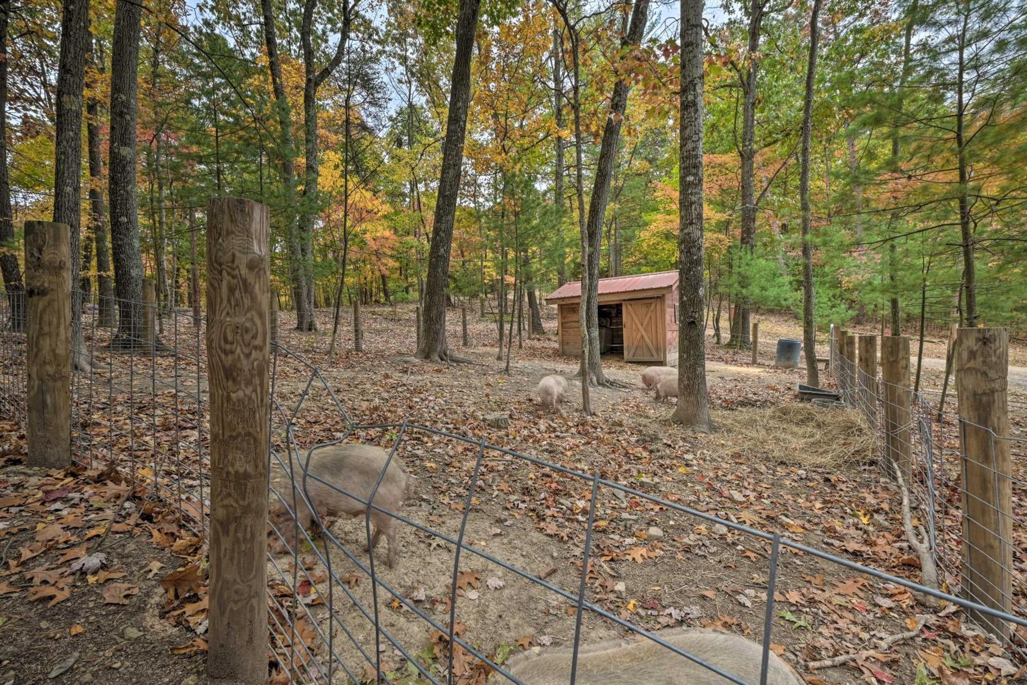 Lone Ranger Cabin With 50 Acres By Raystown Lake Хънтингдън Екстериор снимка